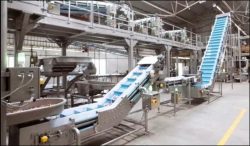 Robotics Process Automation Companies