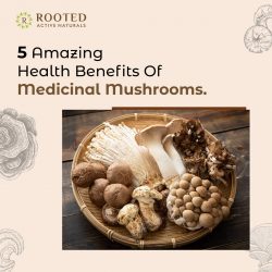 5 Amazing Health Benefits Of Medicinal Mushrooms
