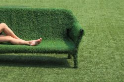 Buy Artificial Grass And Home Decor Items Online