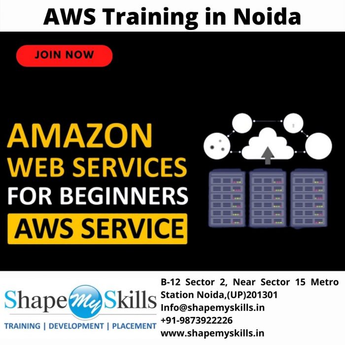 Best AWS Training in Noida
