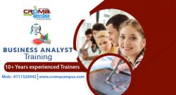 Why Should You Become a Business Analyst?