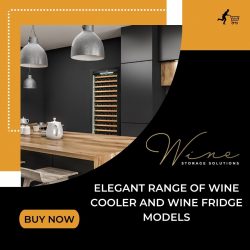 Elegant Range of Wine Cooler and Wine Fridge Models