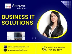 Business IT Solutions in Jamaica