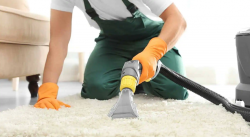 Things You Need To Expect From The Professional Carpet Cleaning
