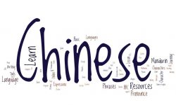 What is the importance of learning the Chinese Language in 2022?