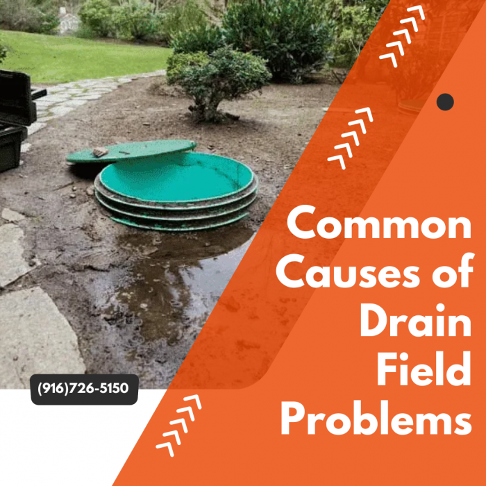 Common Causes of Drain Field Problems