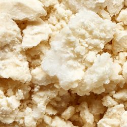 Get An Organic Coconut Milk Powder Wholesale From Maya Gold Trading
