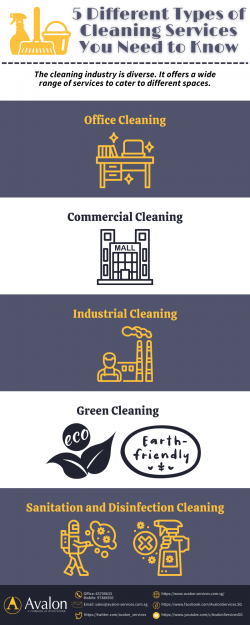 5 Different Types of Cleaning Services You Need to Know