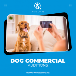 Dog Commercial Auditions