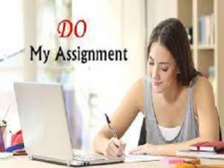 Get Assignment Help Online