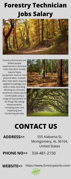 Environmentally Forestry Technician Jobs Salary