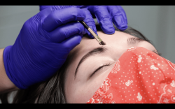 Eyebrow Lamination Course Online | Lamination Brow Training in Michigan – Alisa Marie Brow ...