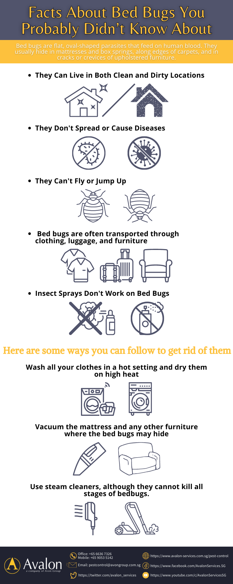 Facts About Bed Bugs You Probably Didn’t Know About