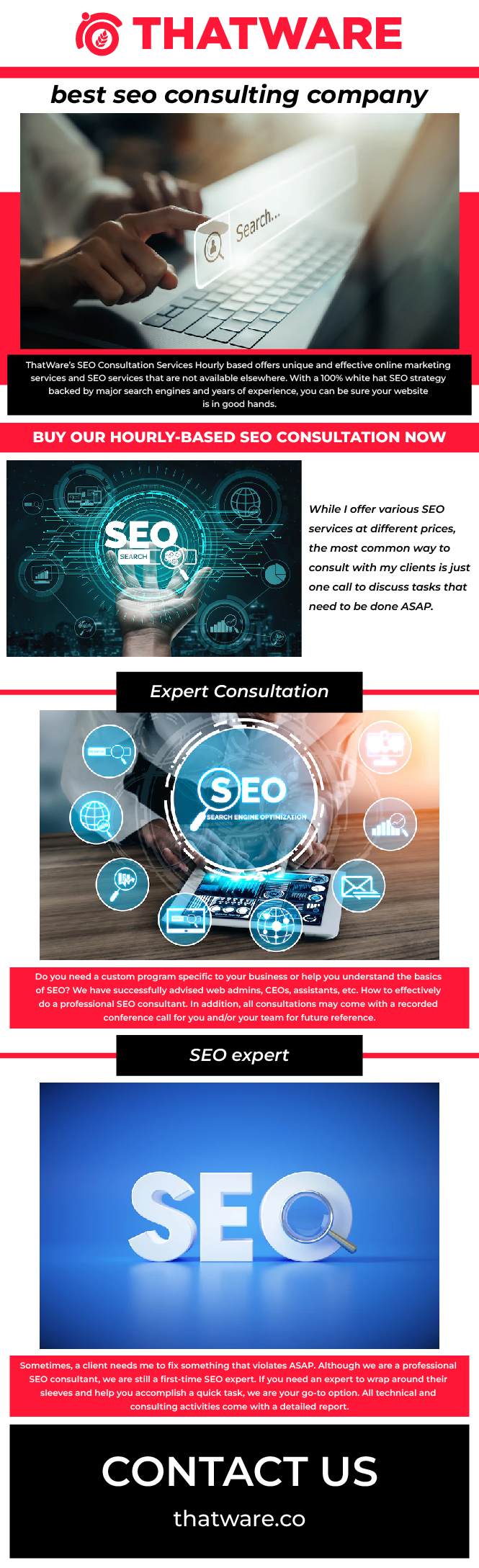 Hire the best seo consulting company for your firm – Thatware