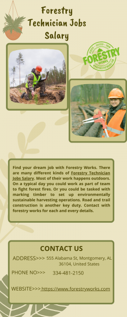 Friendly Forestry Technician Jobs Salary