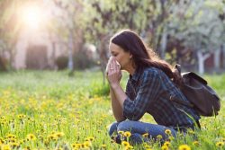 Immunotherapy for Grass Pollen Allergic Patients