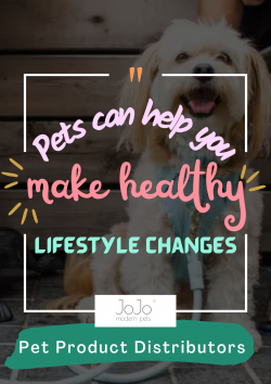 Make Healthy Life Style – Pet Product Distributors
