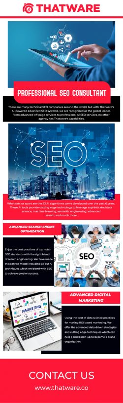 Hire the most professional seo consultant for your firm – Thatware
