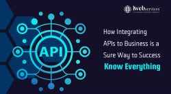 How Integrating APIs to Business is a Sure Way to Success – Know Everything