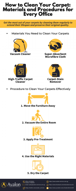 How to Clean Your Carpet: Materials and Procedures for Every Office