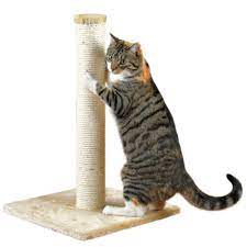 Shop Cat Scratching Post at Cheap Rates