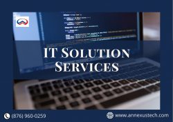 IT Solutions Services – Annexus Tech