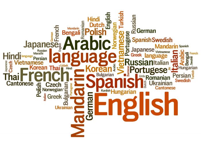 What Are the Top 5 Reasons to Learn a New Language?