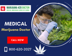 Licensed Professional for Cannabis Doctor