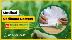 Licensed Professional for Cannabis Treatment