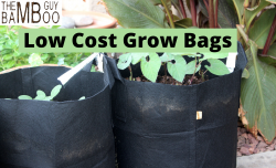 Buy Small grow bags for Tomatoes | The Bamboo Guy