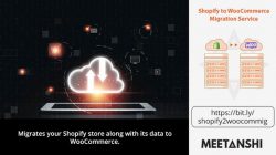 Shopify to WooCommerce Migration Service﻿