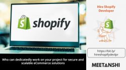 Hire Shopify Developer﻿