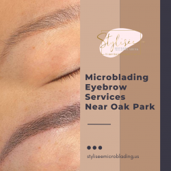 Eyebrow Microblading Services Near Oak Park