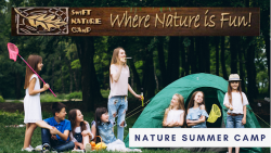 Nature Summer Camps for Kids | Swift Nature Camp