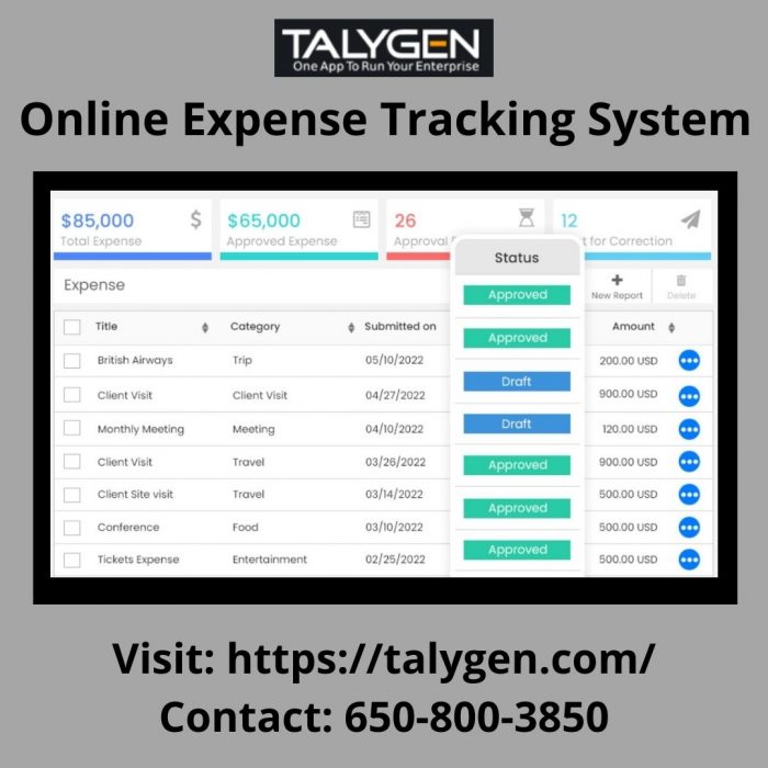 Online Expense Tracking System