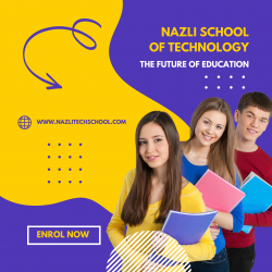 Online Tech School In Mexico