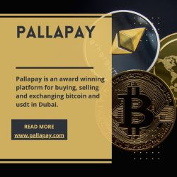 Pallapay is the Best Place to Sell USDT in Dubai