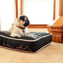 Luxury Dog Beds Store In Oakland Park | Washable Dog Bed | Pet Beds – More Bedding & Bath