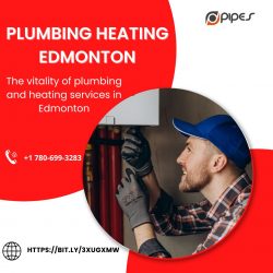 The vitality of plumbing and heating services in Edmonton