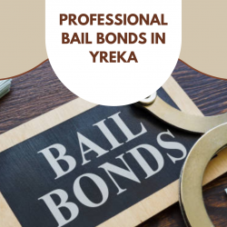 Professional Bail Bonds in Yreka