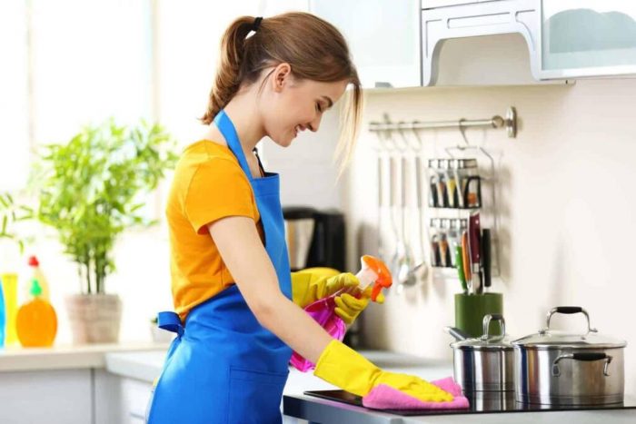 Professional Cleaning Services in Salt Lake City