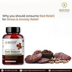 Why you should consume Red Reishi for Stress & Anxiety Relief