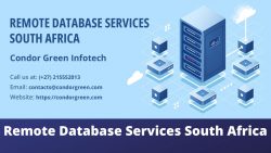 Famous Remote Database Services in South Africa