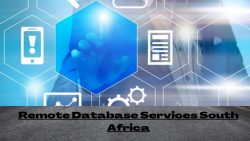Finding a Reliable Remote Database Service Provider South Africa