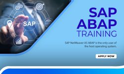 SAP ABAP Training Institute in Delhi