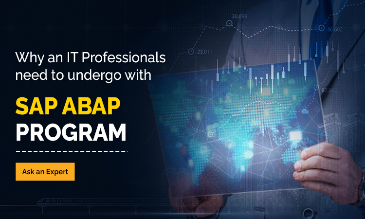 What Does SAP ABAP Programming Language Mean to You?