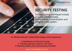 Cyber Security Testing Services Company