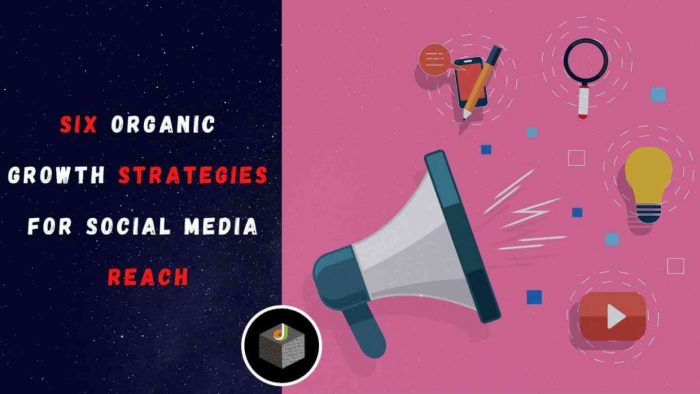 Know The Organic Growth Strategies for Increase Social Media Reach