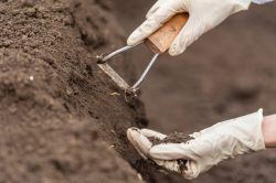 Soil Testing Services in New Jersey | Simple Tank Services