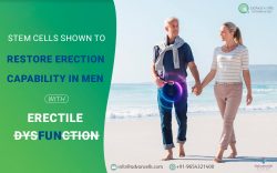 Stem Cells Shown To Restore Erection Capability In Men With Erectile Dysfunction